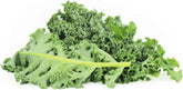 Großverpackung (kg) - frischer Grünkohl BIO (polnisch) (ca. 2 kg)